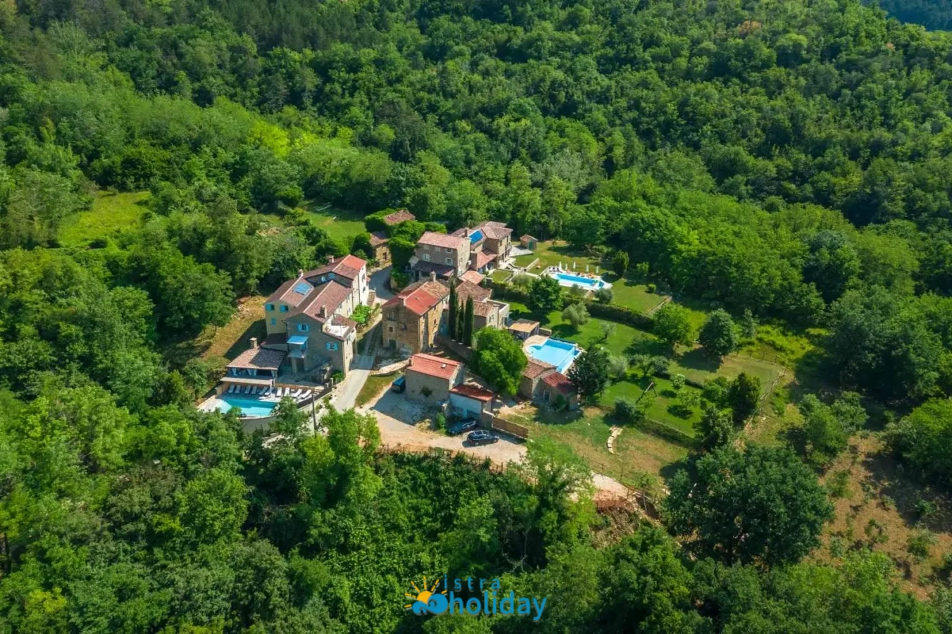 Aerial view of rustic villas in lush forest.