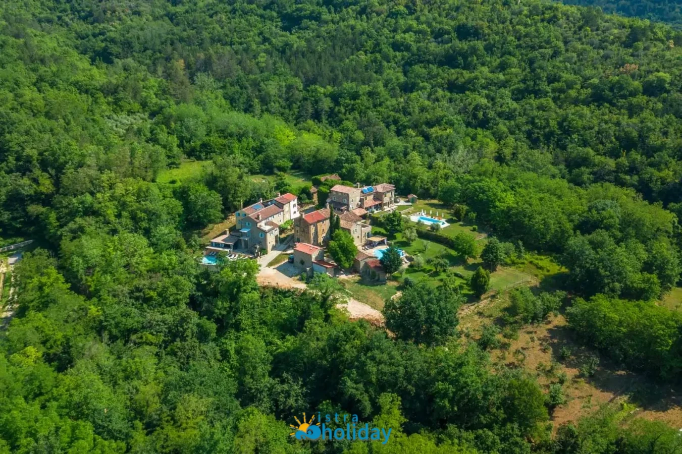 Aerial view of secluded village surrounded by forest.