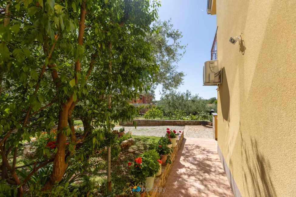 Sunny garden walkway beside yellow house
