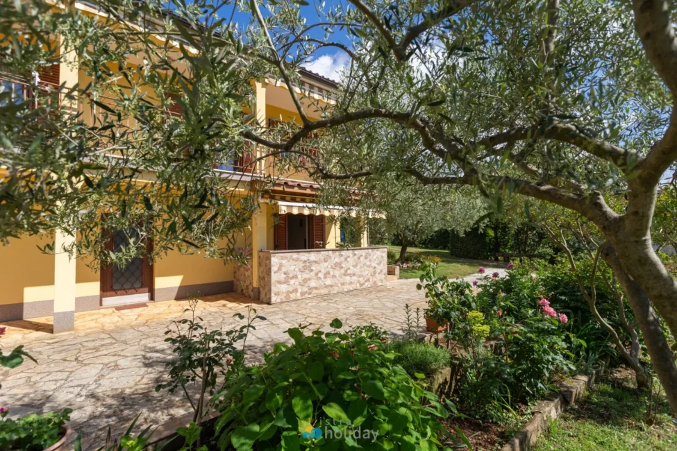 Yellow house with garden and olive trees