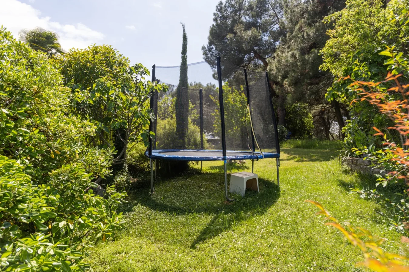 Backyard trampoline surrounded by lush green garden