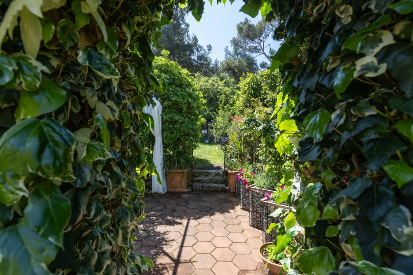 Lush garden pathway framed by ivy arch