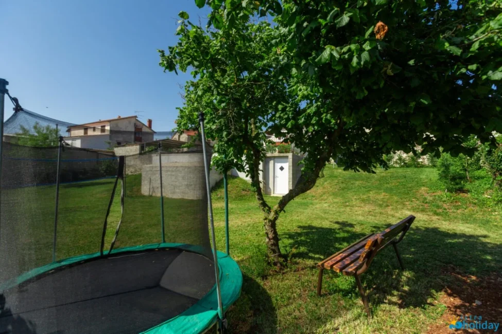 Backyard with trampoline, bench, and tree.