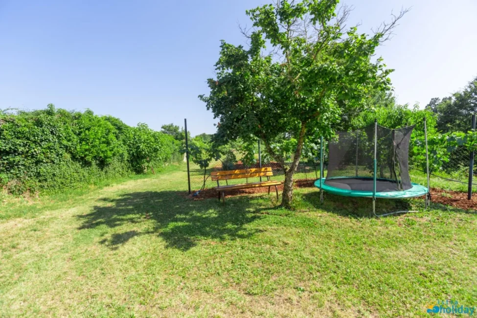 Trampoline and bench in sunny garden.