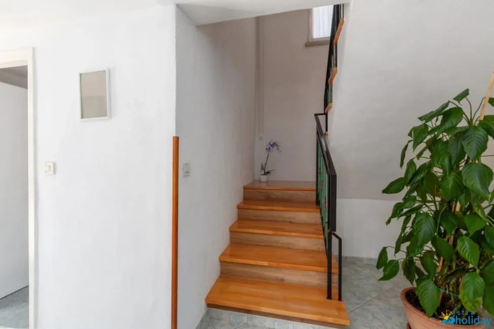 Wooden staircase with plant and white walls