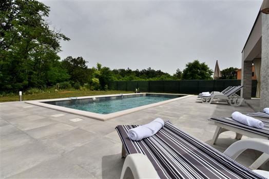 Modern backyard pool with lounge chairs and patio
